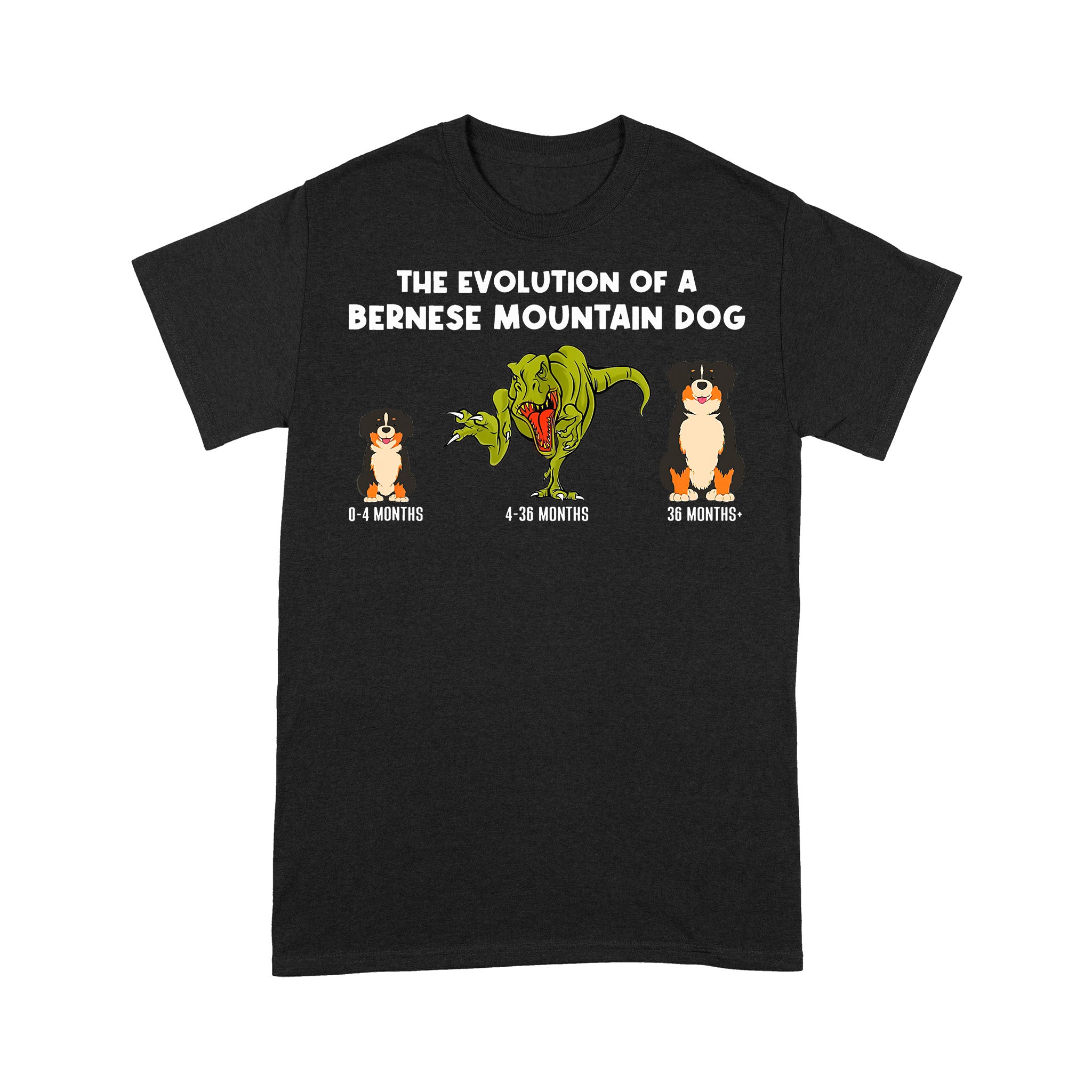 https://drmjya4epqbke.cloudfront.net/files/production/u/41033ad9-88da-41df-8c22-902b6860556c/39c37627-f29e-493a-8b69-1d93f4b861b1.jpg